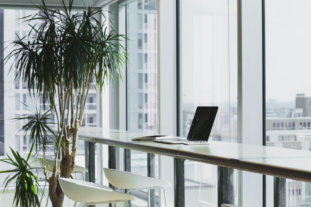 Corporate Office with Big windows and large plant