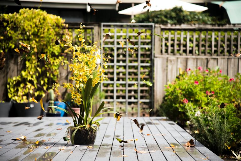 Garden Desk Lattice Fence