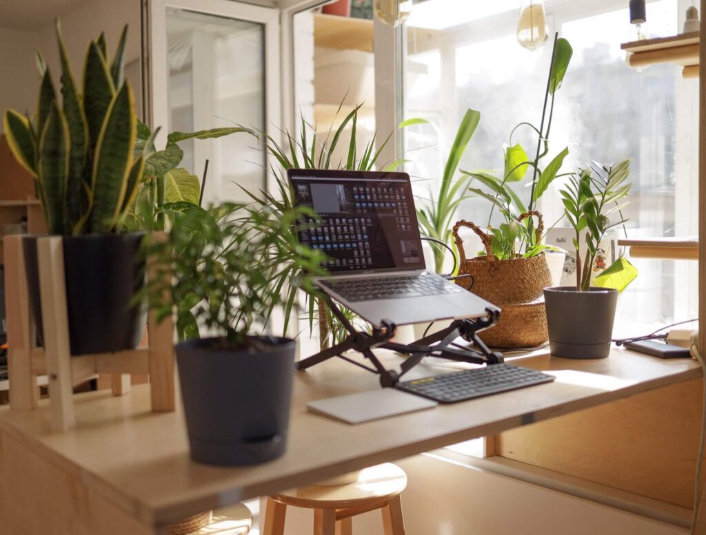 Home office with plants
