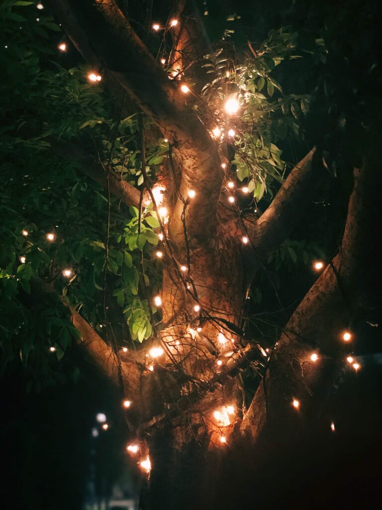 Patio lights at night around tree