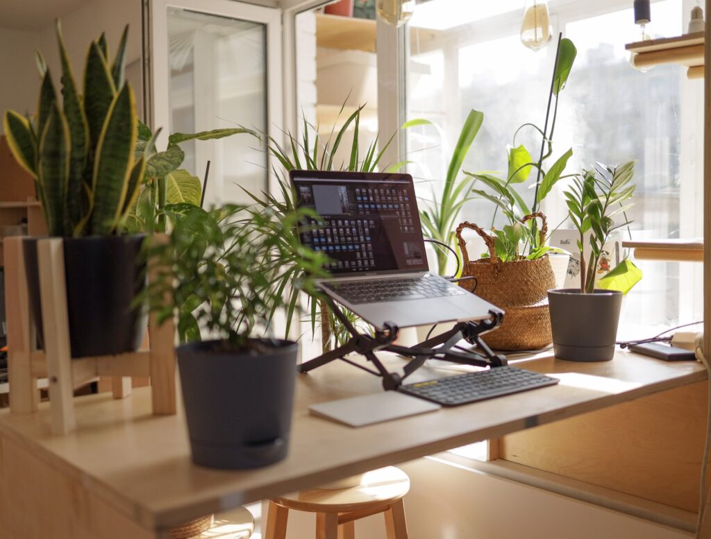 Laptop on a desk surrounded by plants