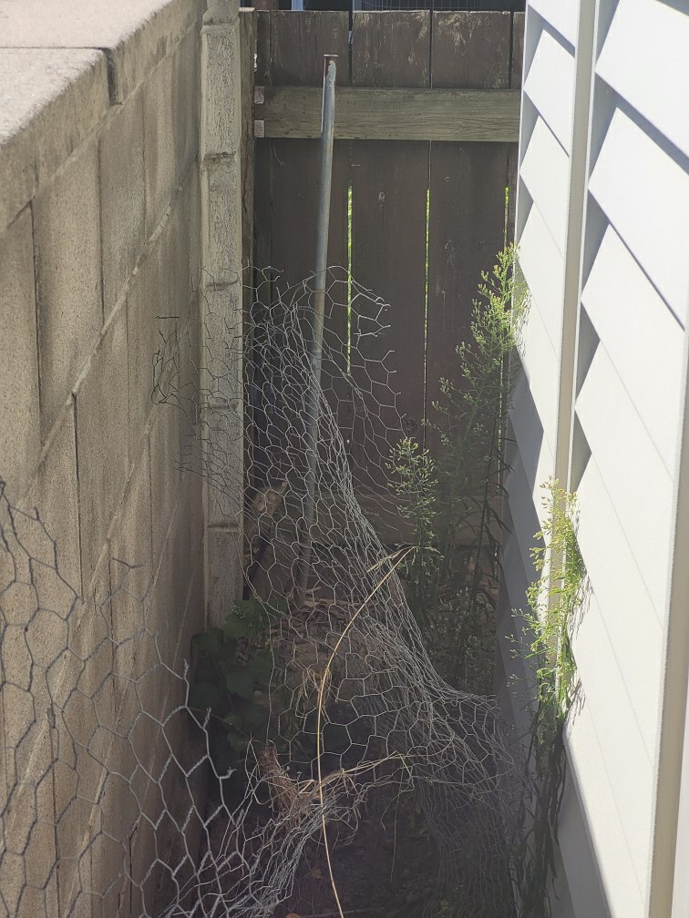 Space between a shed wall and property line