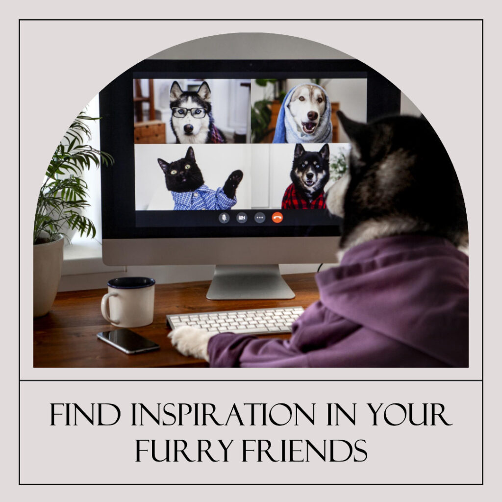 Funny image of dogs and cats on a zoom call with each other with the caption find inspiration in your furry friends as an example of how to inspire creativity working from home.