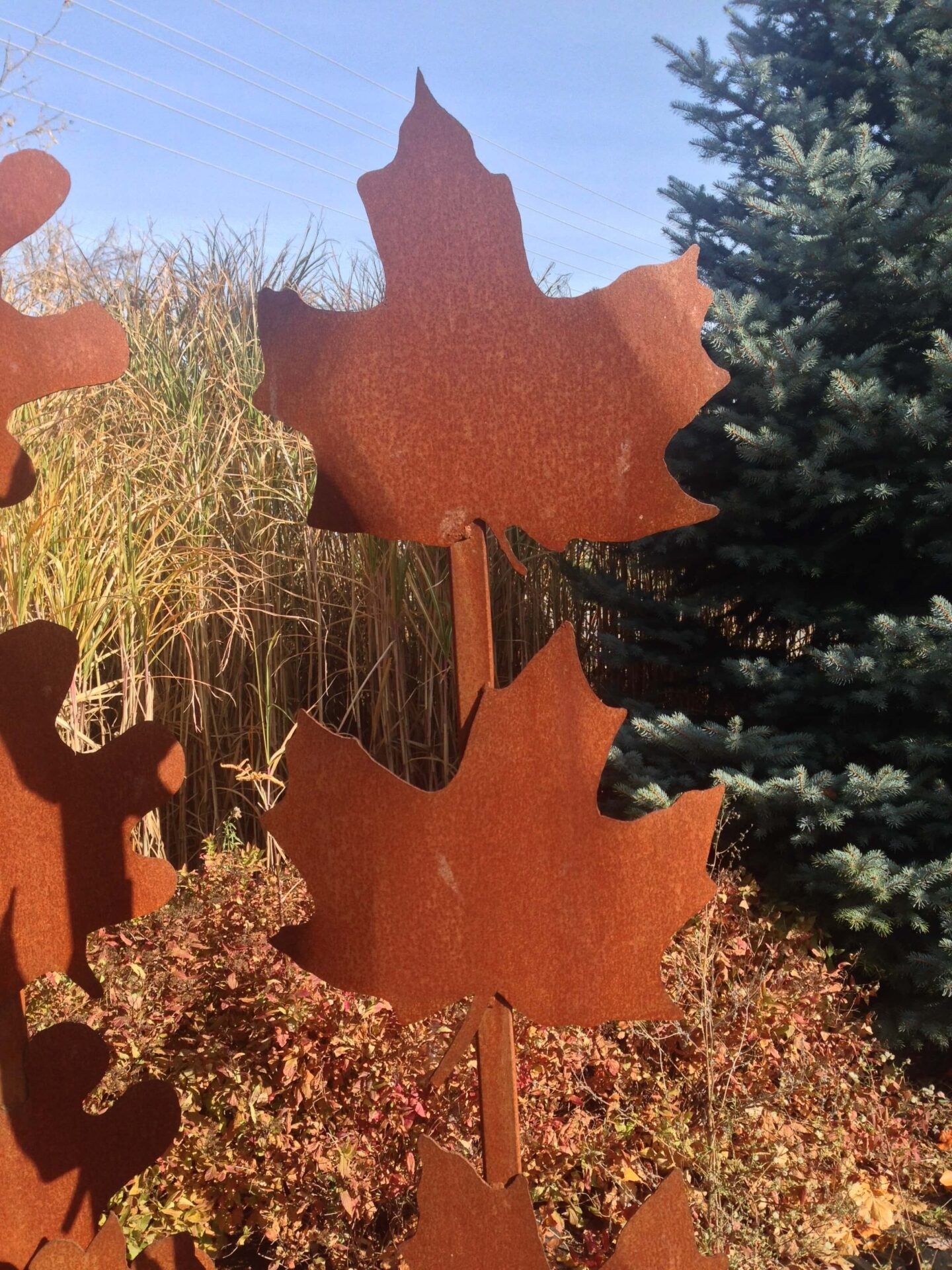 Steel Maple Leaf Sculpture as an example of something made in an art studio number 1 in the list of backyard business ideas.