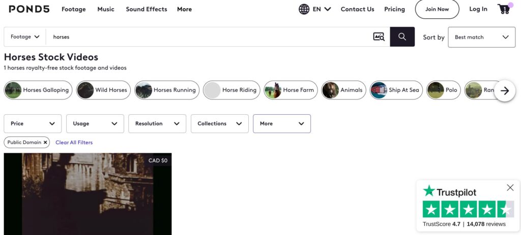 Screenshot of the Pond5 Public domain vintage footage site with a search for horses displayed.